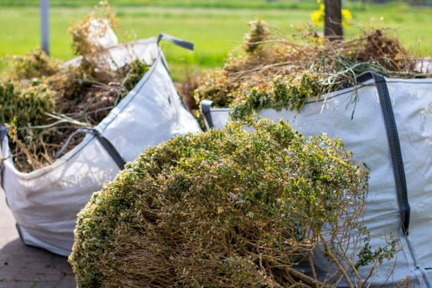 Best Construction Debris Removal  in New Chicago, IN