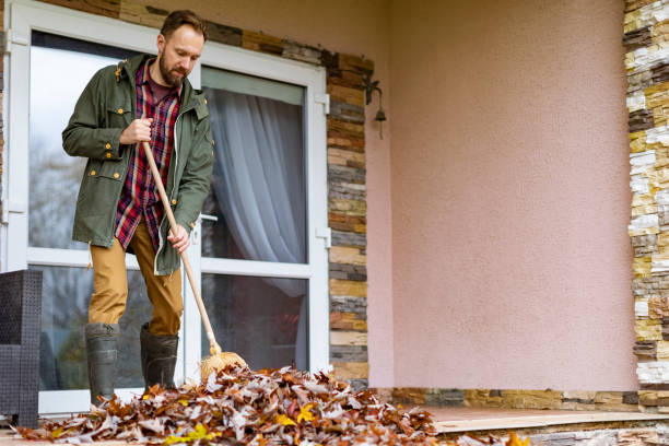 Best Professional Junk Removal  in New Chicago, IN